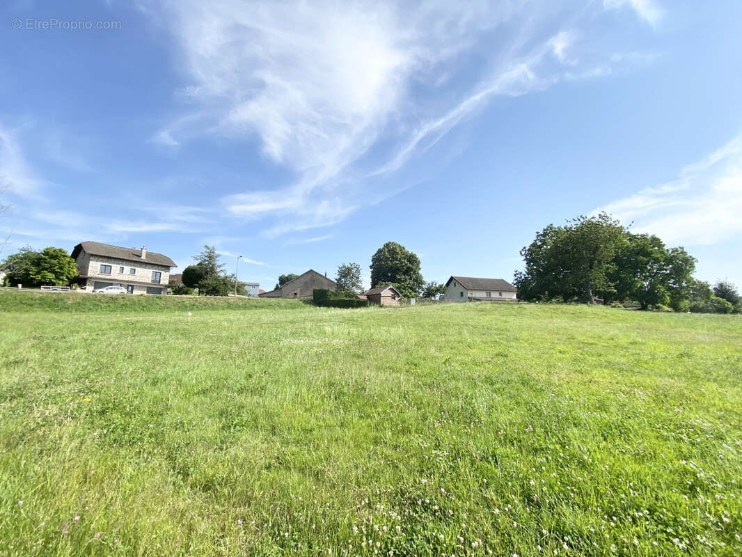 Terrain à SAONE