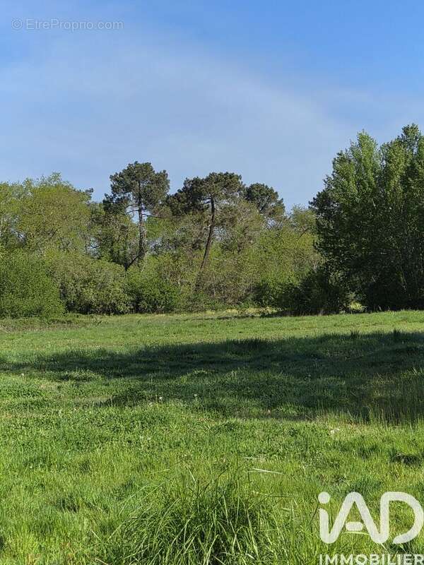 Photo 4 - Terrain à SAINT-MEDARD-D'EYRANS