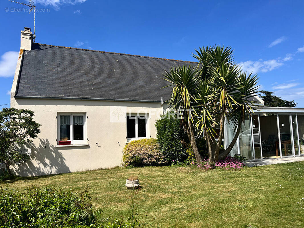 Maison à TREVOU-TREGUIGNEC