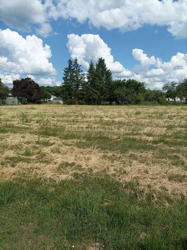Terrain à LA CROIX-EN-TOURAINE