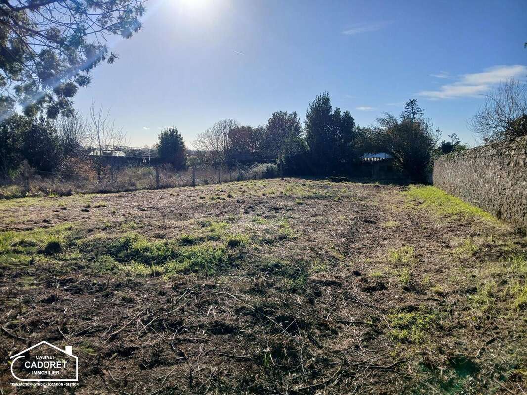   - Terrain à PAIMBOEUF