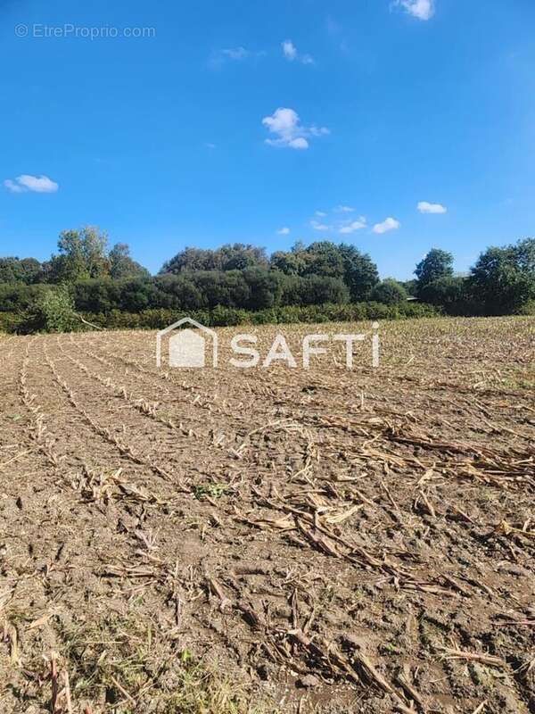 Photo 3 - Maison à TREBEDAN