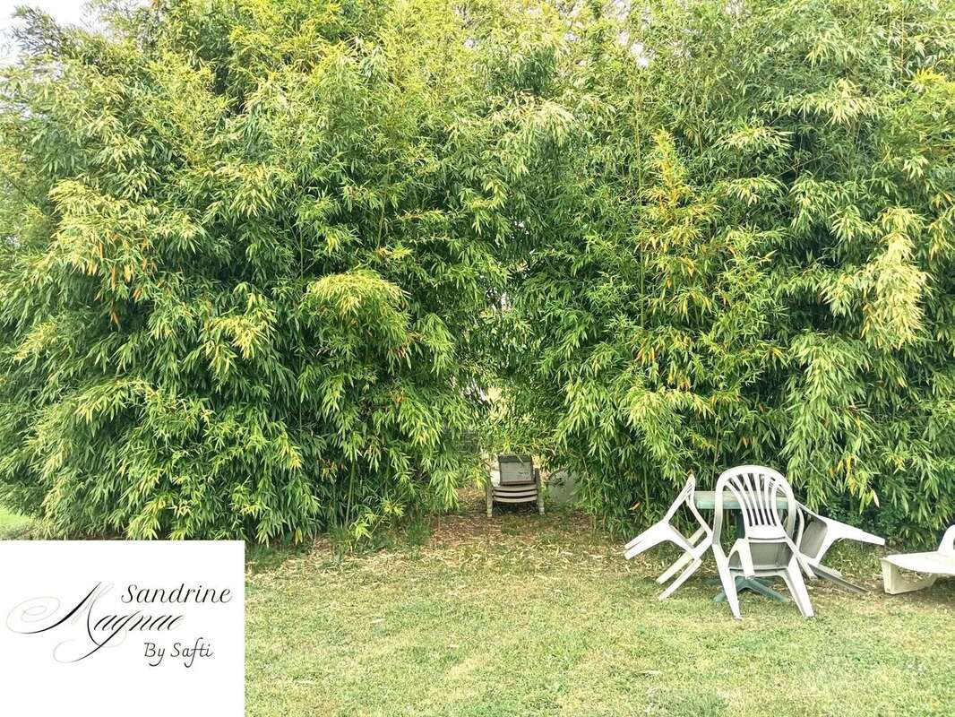 Maison 222 m² à Sainte-Nathalene  - photo 5