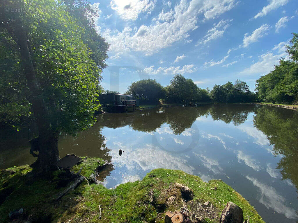 Terrain à LA FERTE-MACE