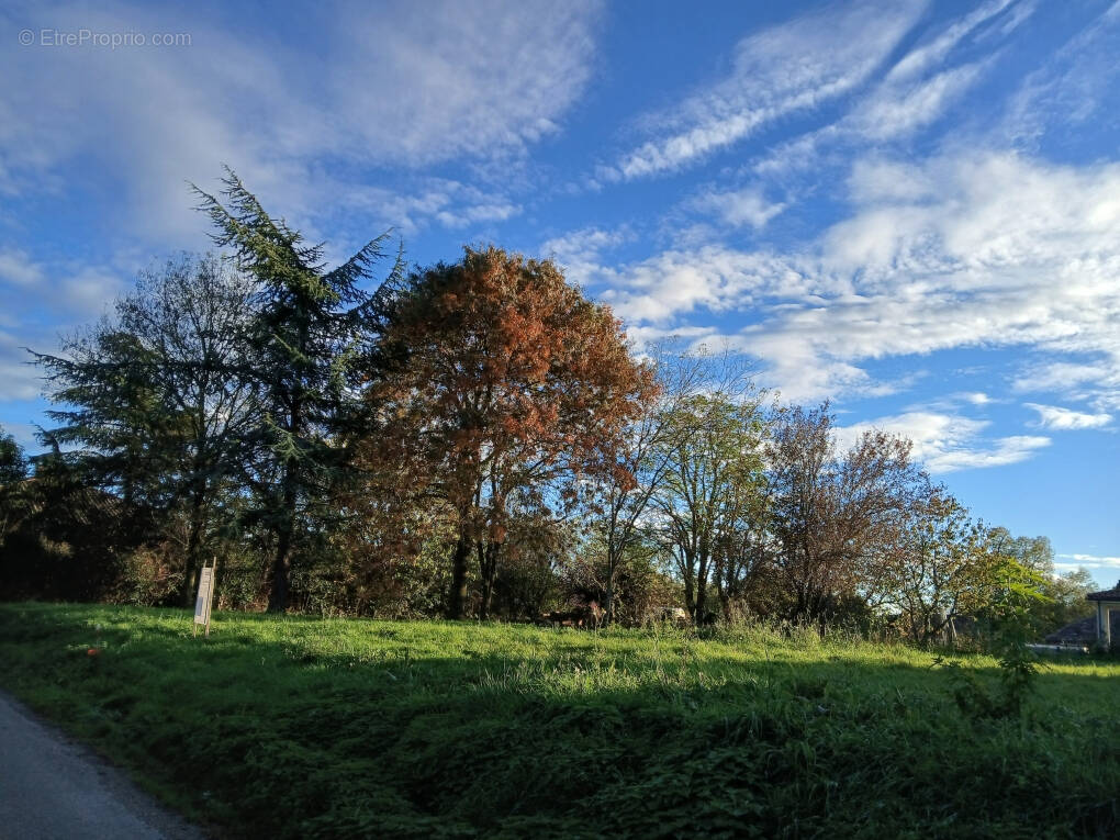 Terrain à THIL