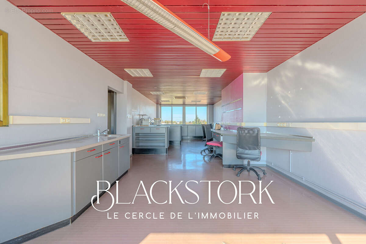 Local professionnel - strasbourg roberstau - vue degagee - photo 8