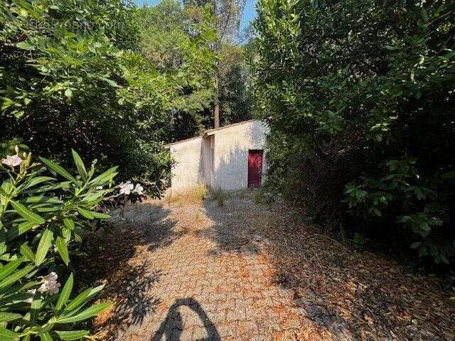 Vente Maison Lodeve(34700) 245 000ï¿œ - photo 6