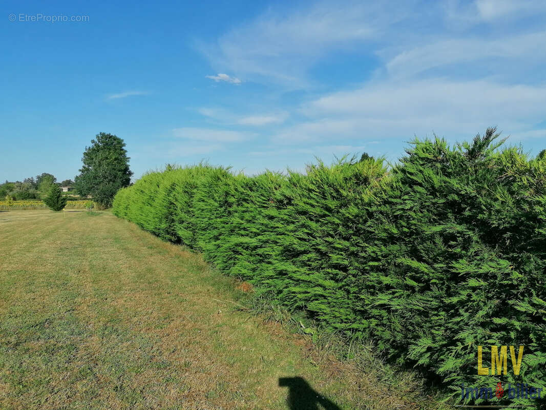 Terrain à SAINT-BRICE