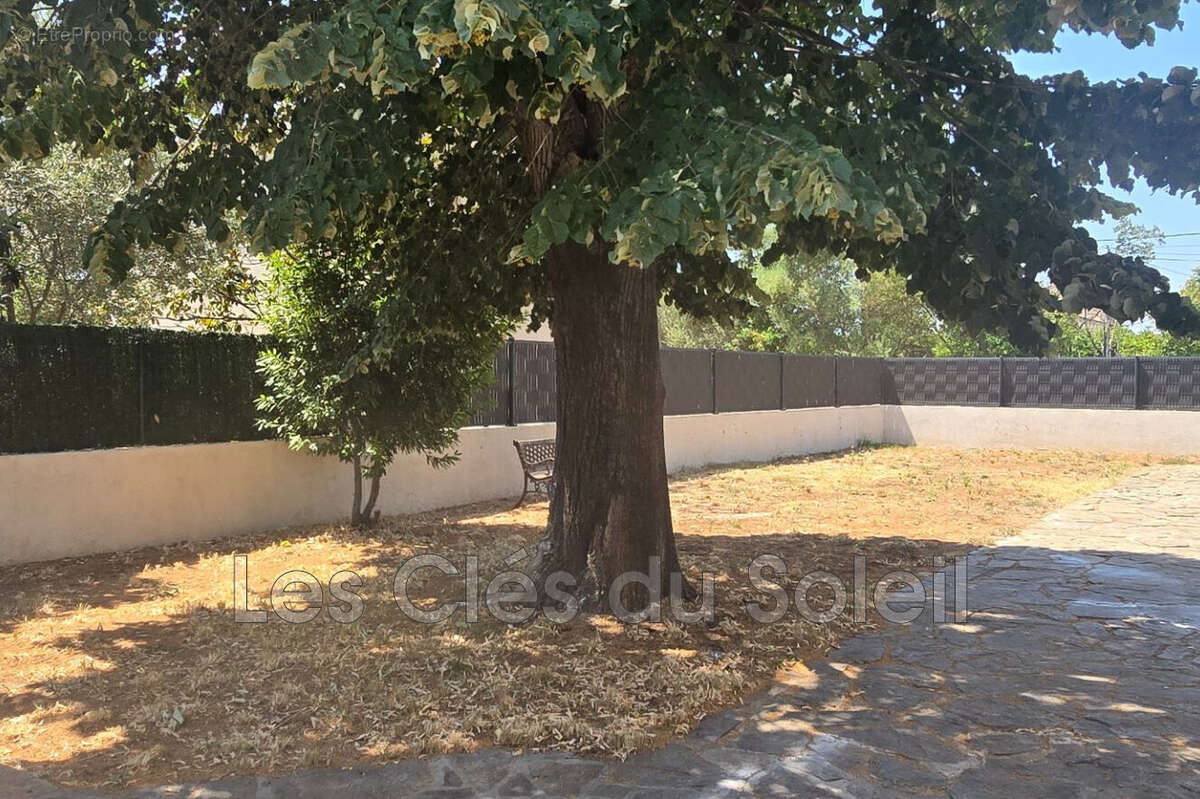 Maison 190 m² à Sollies-Ville  - photo 5