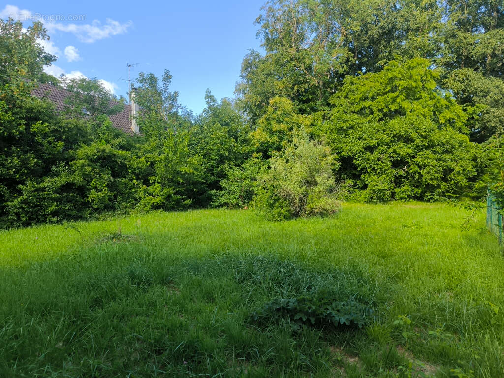 Terrain Vulaines Sur Seine 1349 m2 - photo 8