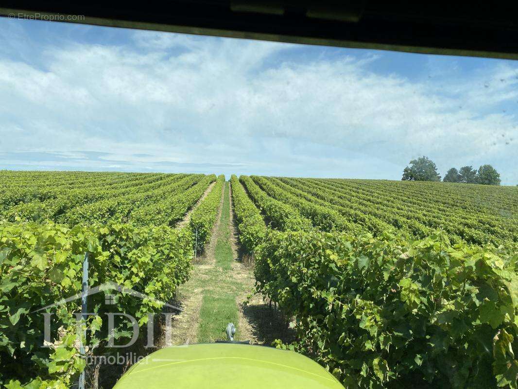 Terrain à CASTELNAU-D&#039;AUZAN