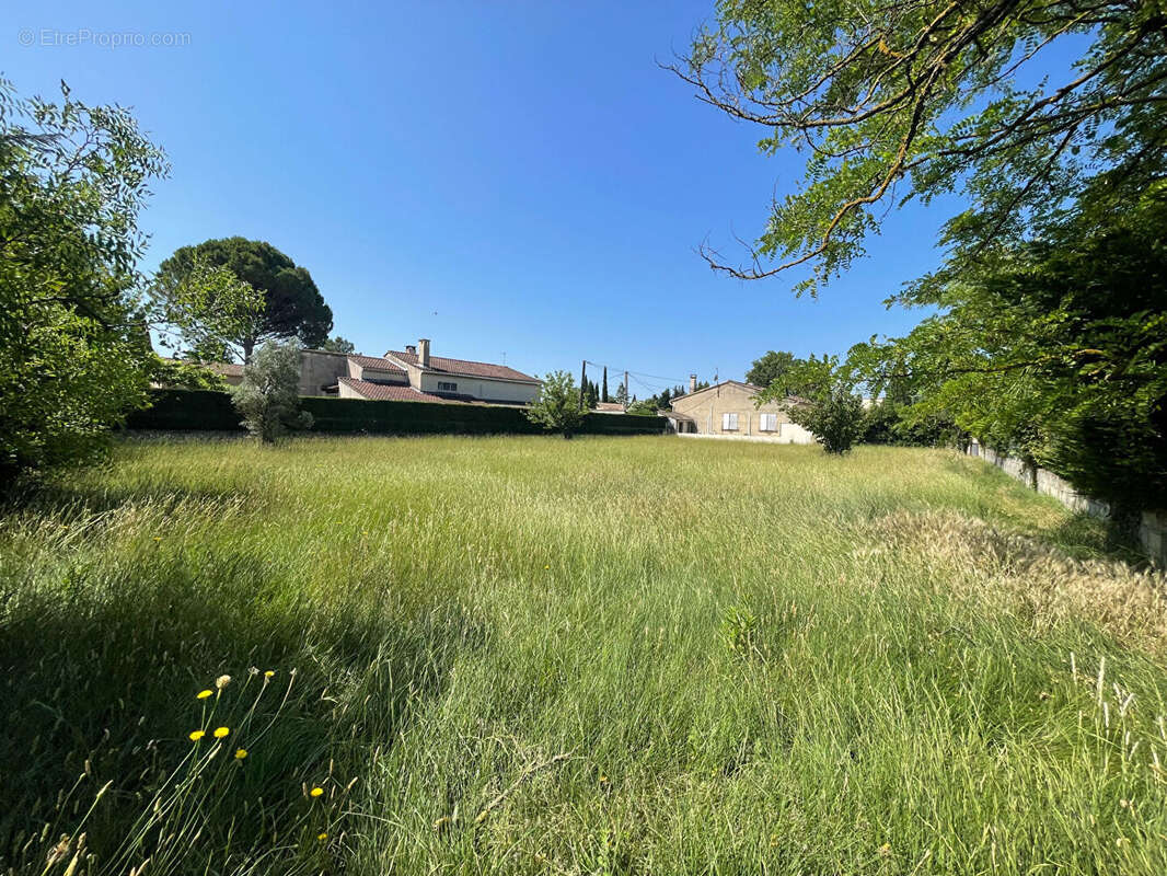 Terrain à ENTRAIGUES-SUR-LA-SORGUE