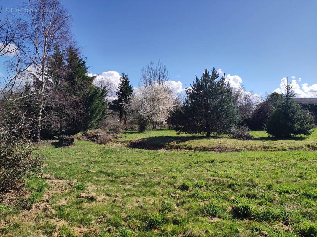 Maison à PIEGUT-PLUVIERS