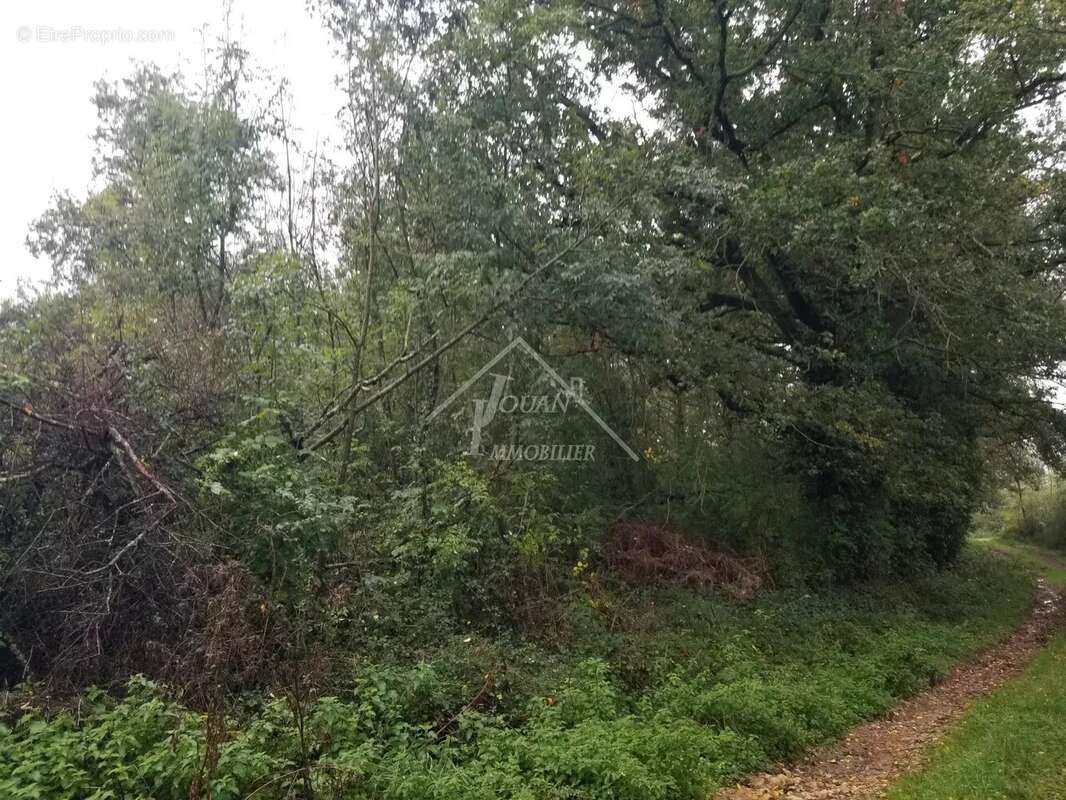 Maison à VILLEFRANCHE-D&#039;ALLIER