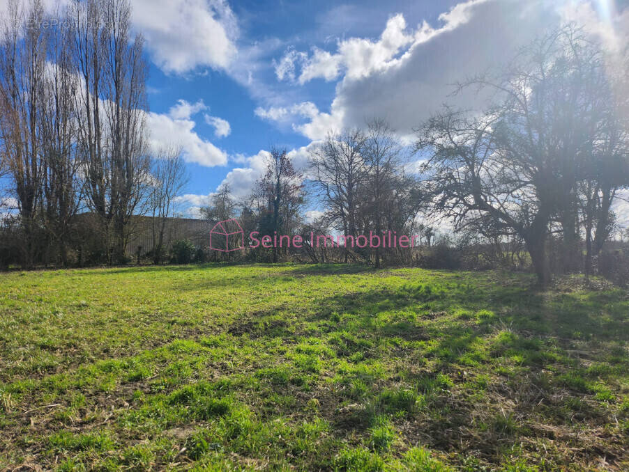 Terrain à LE CHARME