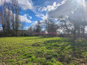 Terrain à LE CHARME