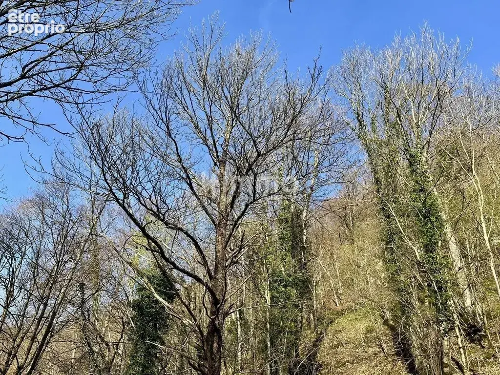 Terrain avec bois et grange, un cadre naturel et agréable - photo 4