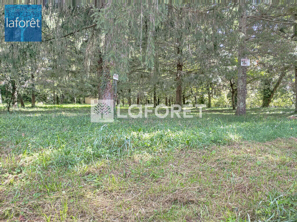 Terrain à PRATS-DE-MOLLO-LA-PRESTE