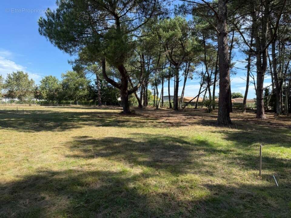 Terrain 930 m² à Saint-Aubin-De-Medoc  - photo 4