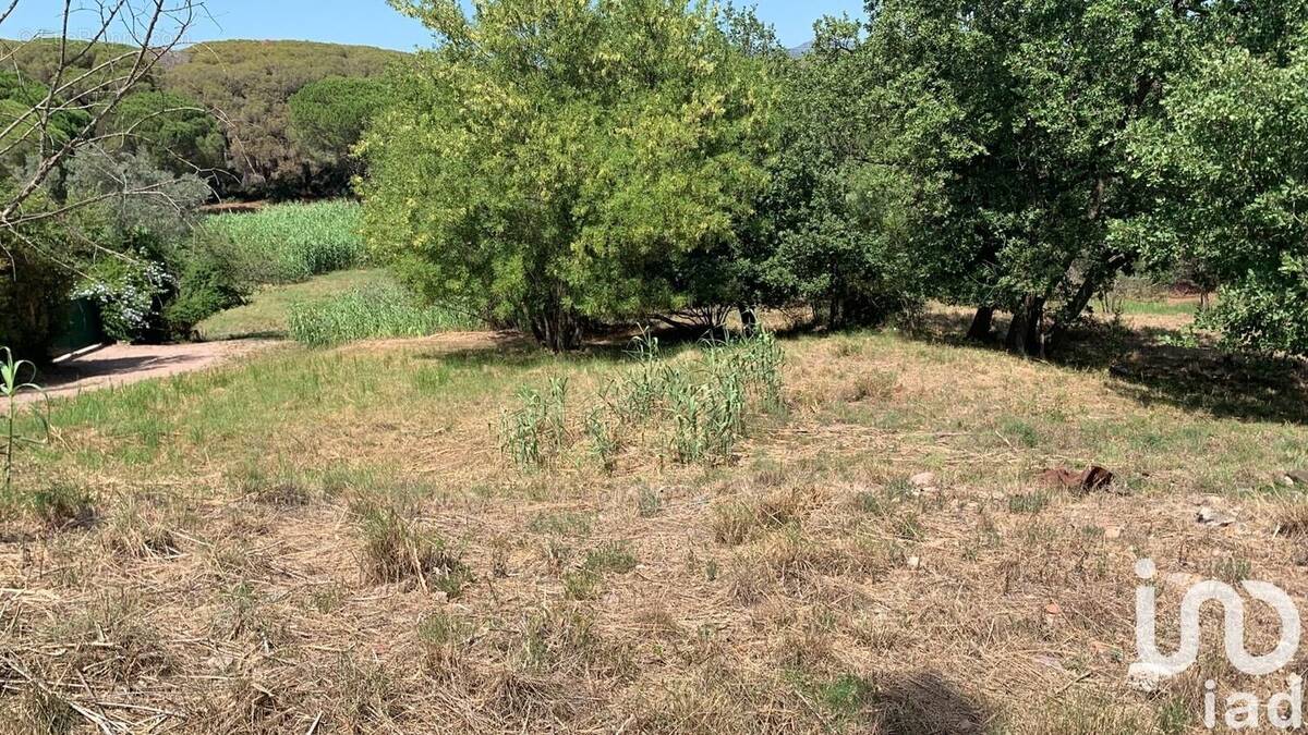 Photo 1 - Terrain à FREJUS