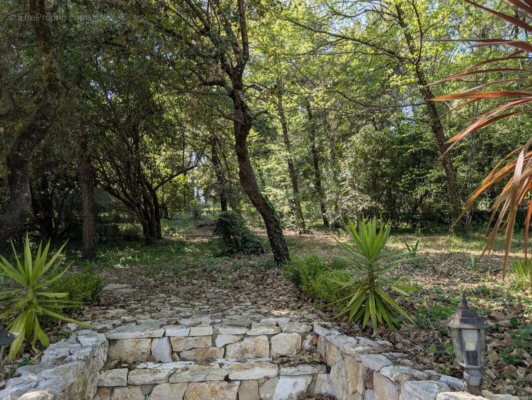 ROQUEFORT LES PINS Maison 5 pièces - 175 m² - Piscine - photo 6