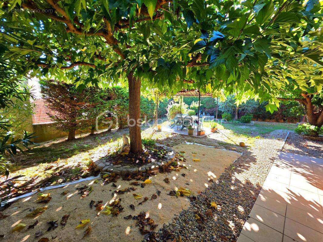 Maison à PONT-SAINT-ESPRIT