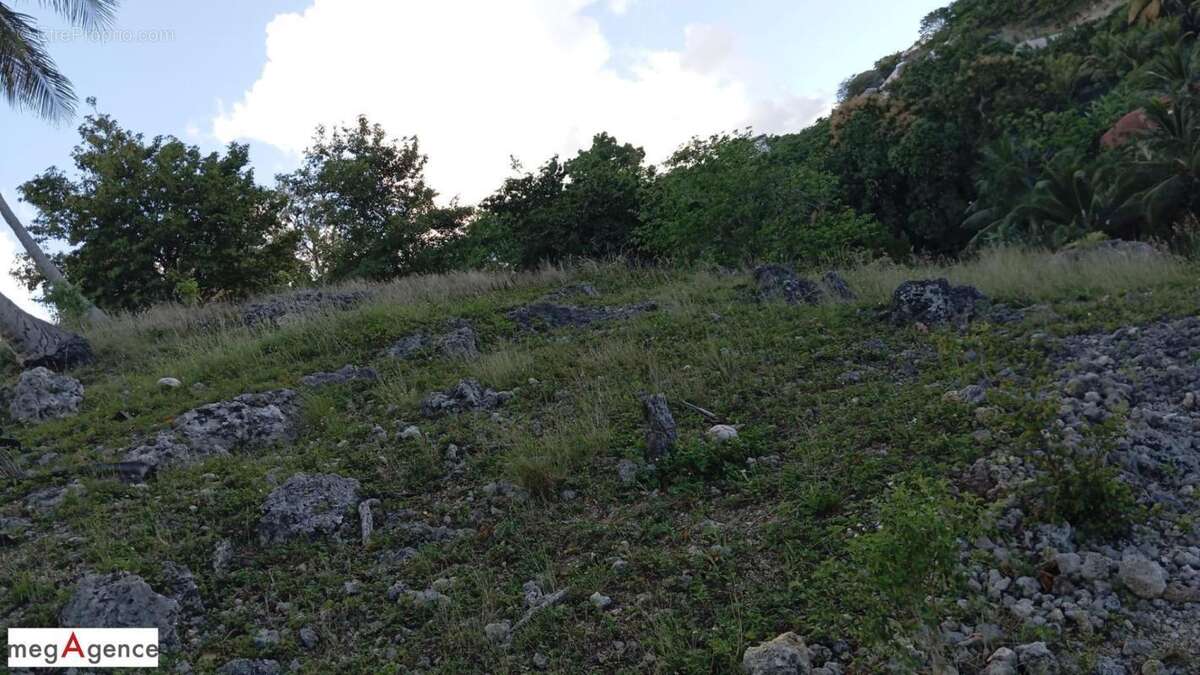 Terrain à LE GOSIER