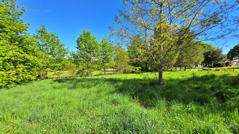 Terrain à ORADOUR-SUR-GLANE