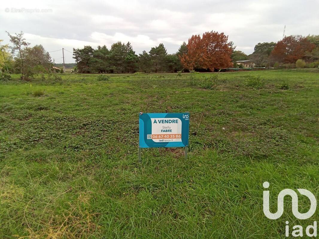 Photo 1 - Terrain à SAINT-REMY