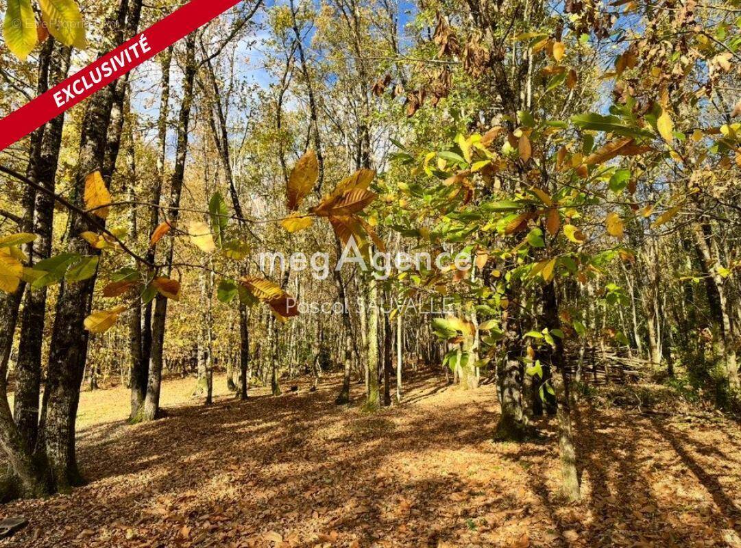 Terrain à PERIGUEUX