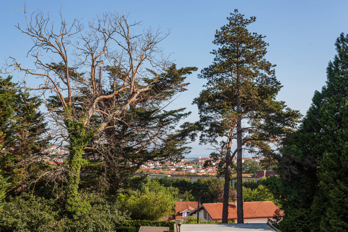 Appartement à CIBOURE