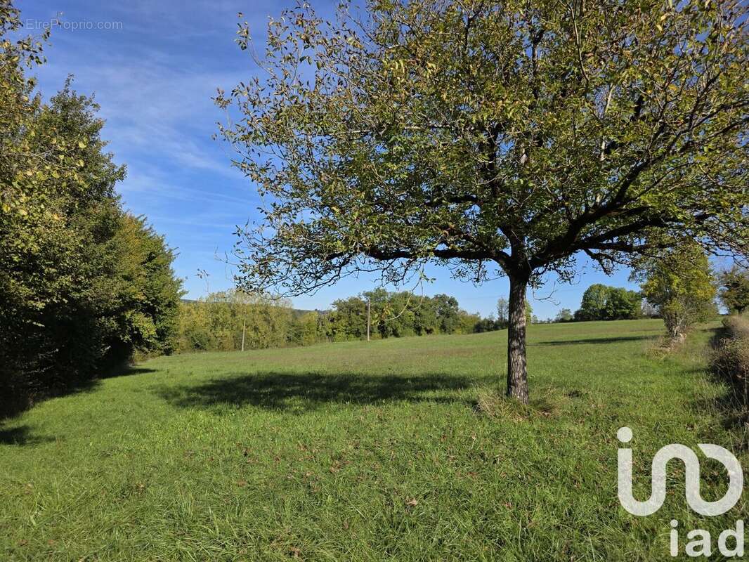 Photo 9 - Maison à THEMINES