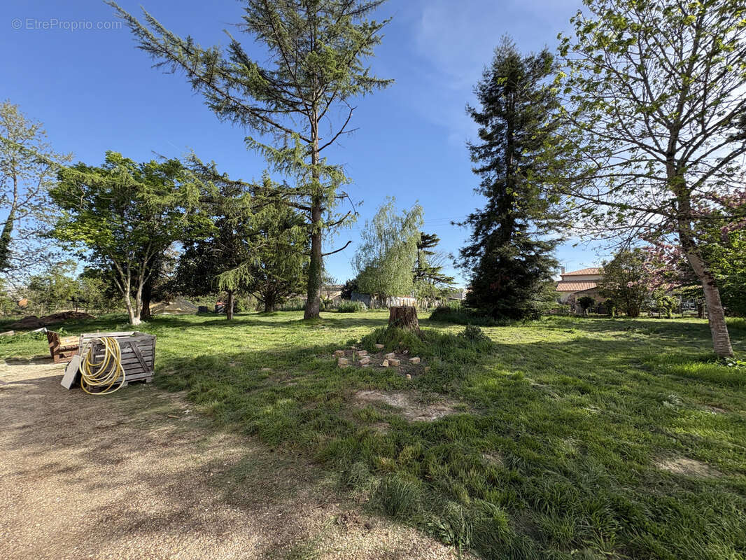 Maison en pierre de 178 m2 avec dépendances et terrain de 4 668 m2 constructible - photo 3