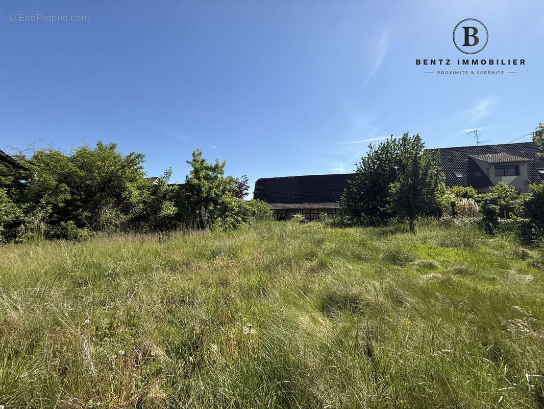 Terrai à bâtir 1 - Maison à MUNDOLSHEIM