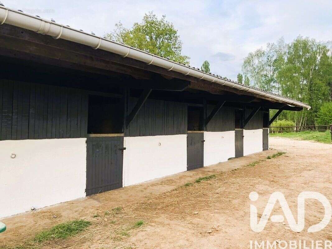 Photo 4 - Maison à DOLLON