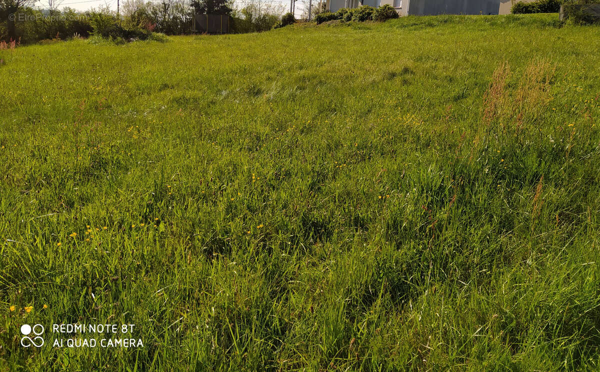 Terrain à LEZAT-SUR-LEZE