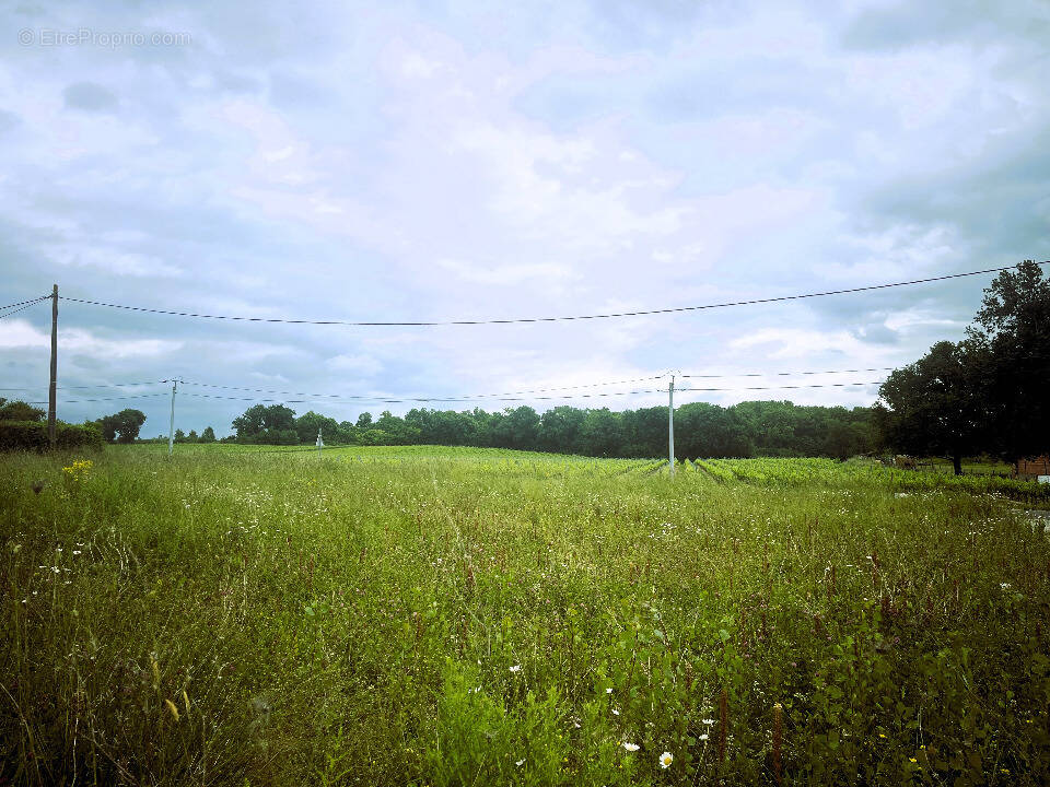 Terrain à SAINT-GERMAIN-DU-PUCH