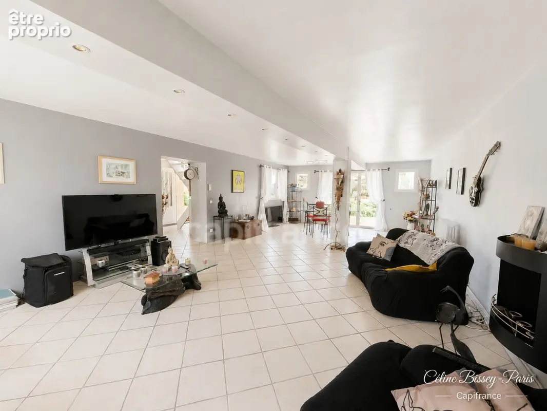 Maison à vendre 6 pièces 140 M2 VILLENEUVE LA GUYARD (89), BEAU VOLUME, cour et jardin 1200M2 - photo 2