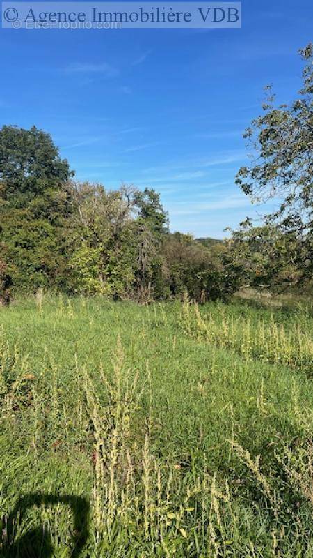 Terrain à BOUXIERES-AUX-CHENES