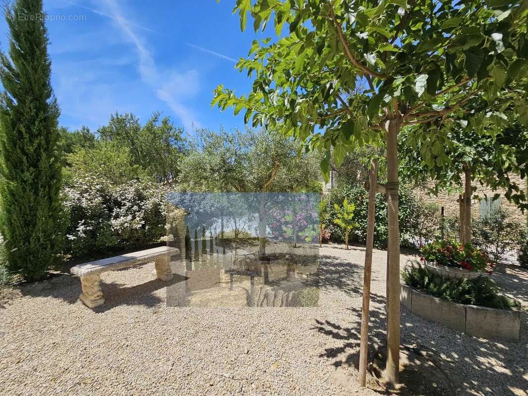 Maison Provençale vue Alpilles - photo 6