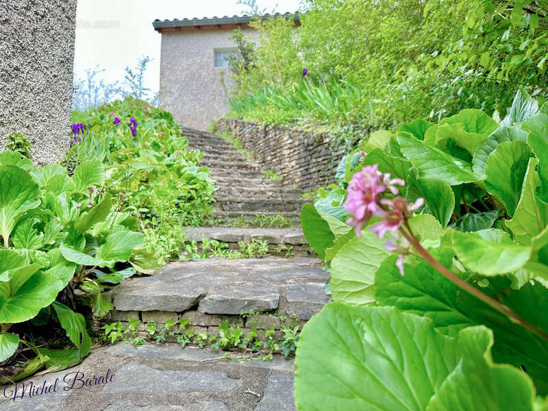 Maison à CHAPONNAY