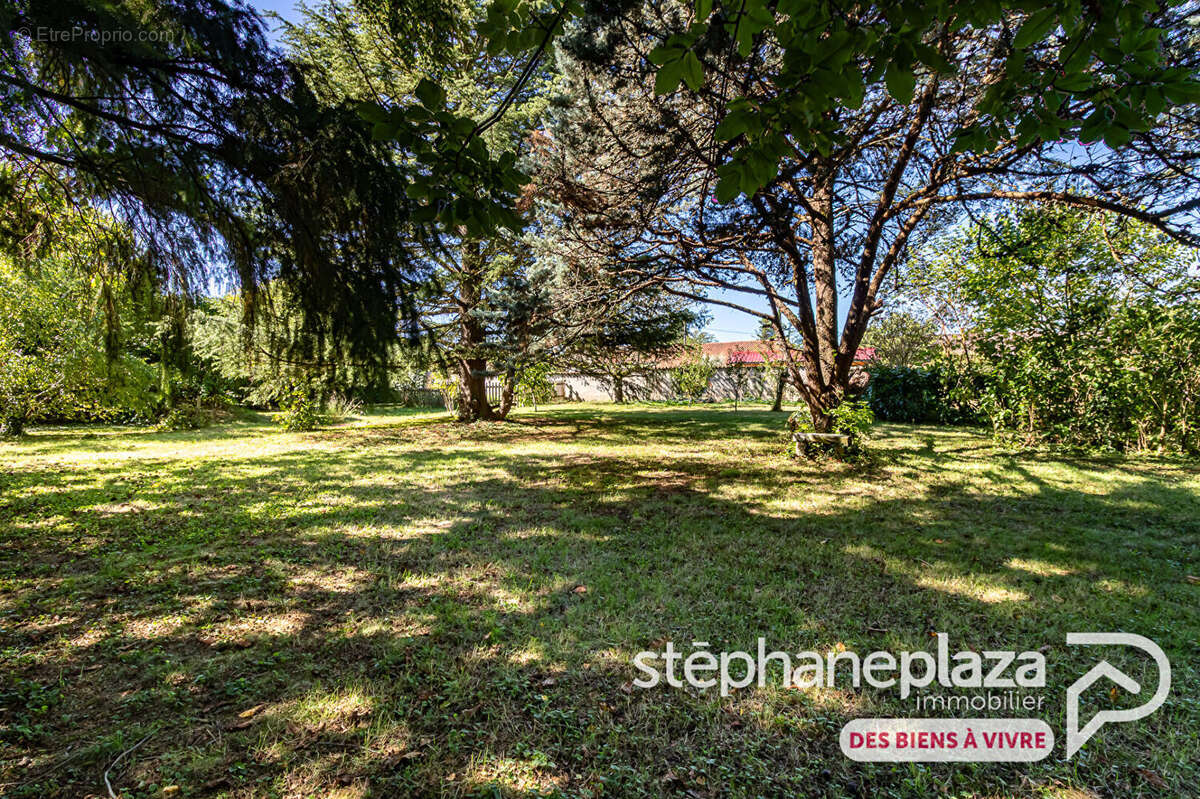 Terrain à SAINT-MAURICE-DE-GOURDANS