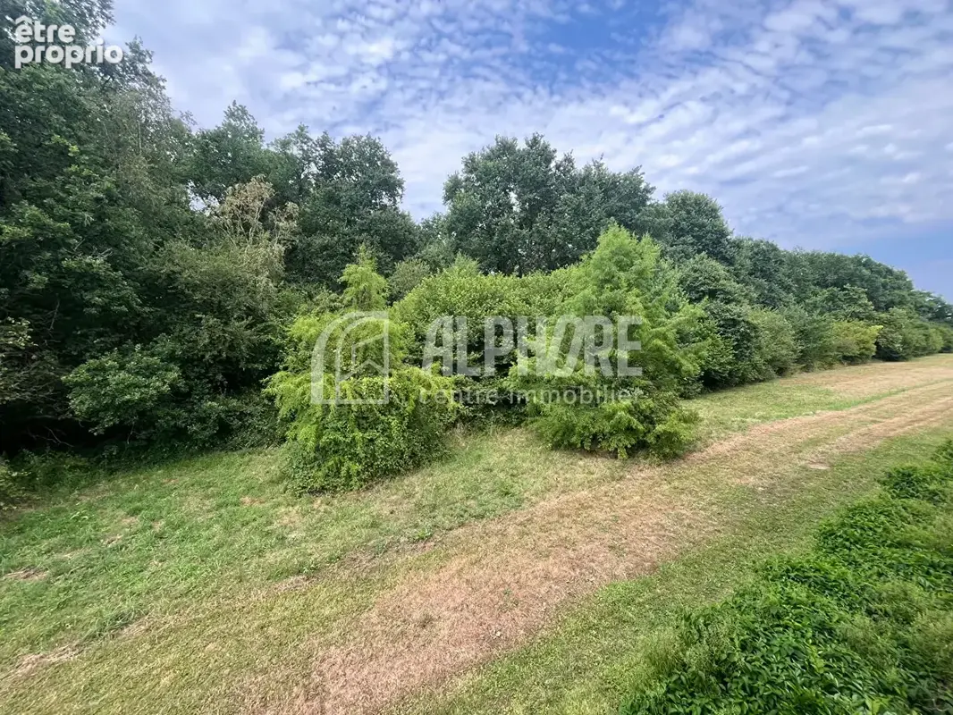 La-chapelle-sur-erdre t3 avec grande terrasse vue sur la nature - photo 8