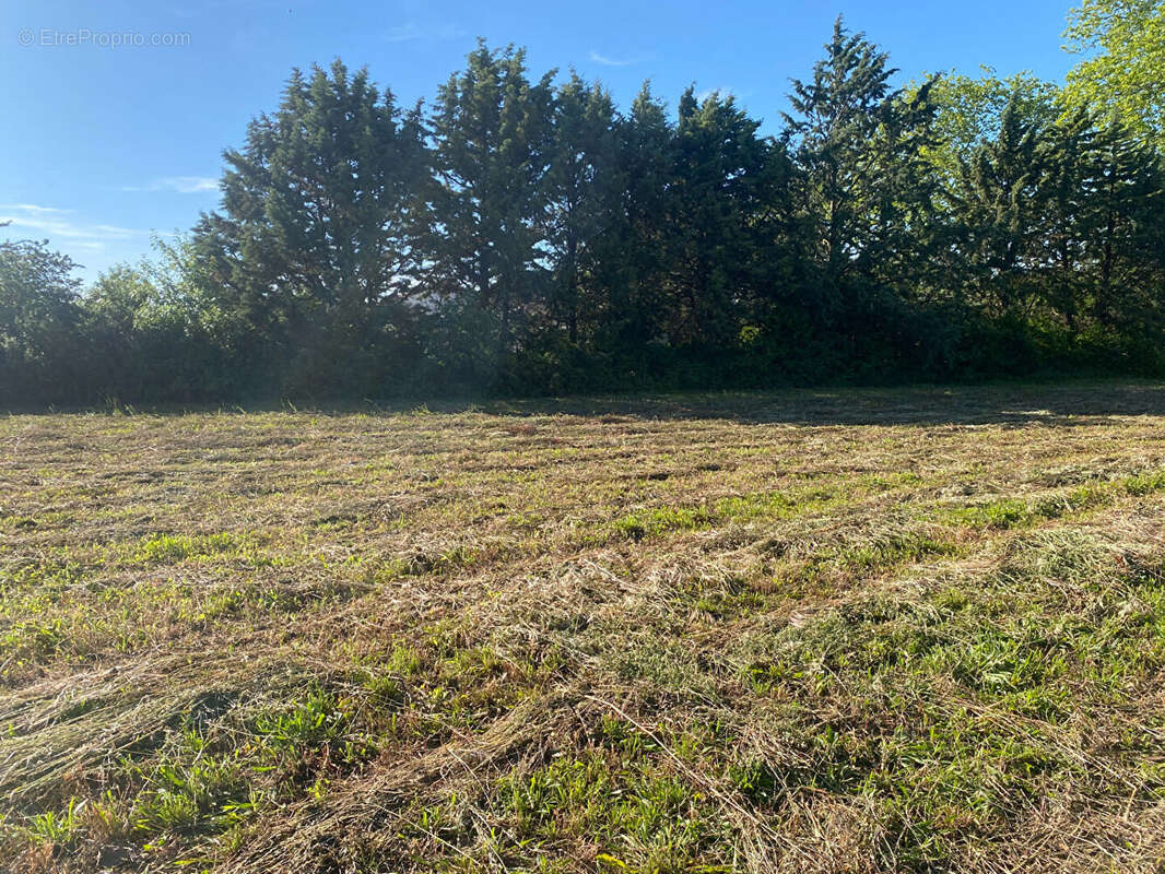 Terrain à bâtir 2693 m², vue Pyrénées - photo 3