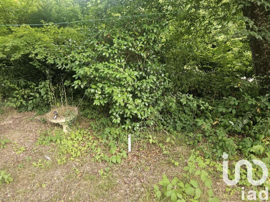 Photo 4 - Maison à EGRISELLES-LE-BOCAGE