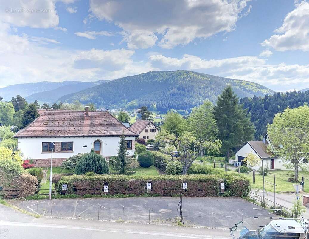 Commerce à WANGENBOURG-ENGENTHAL