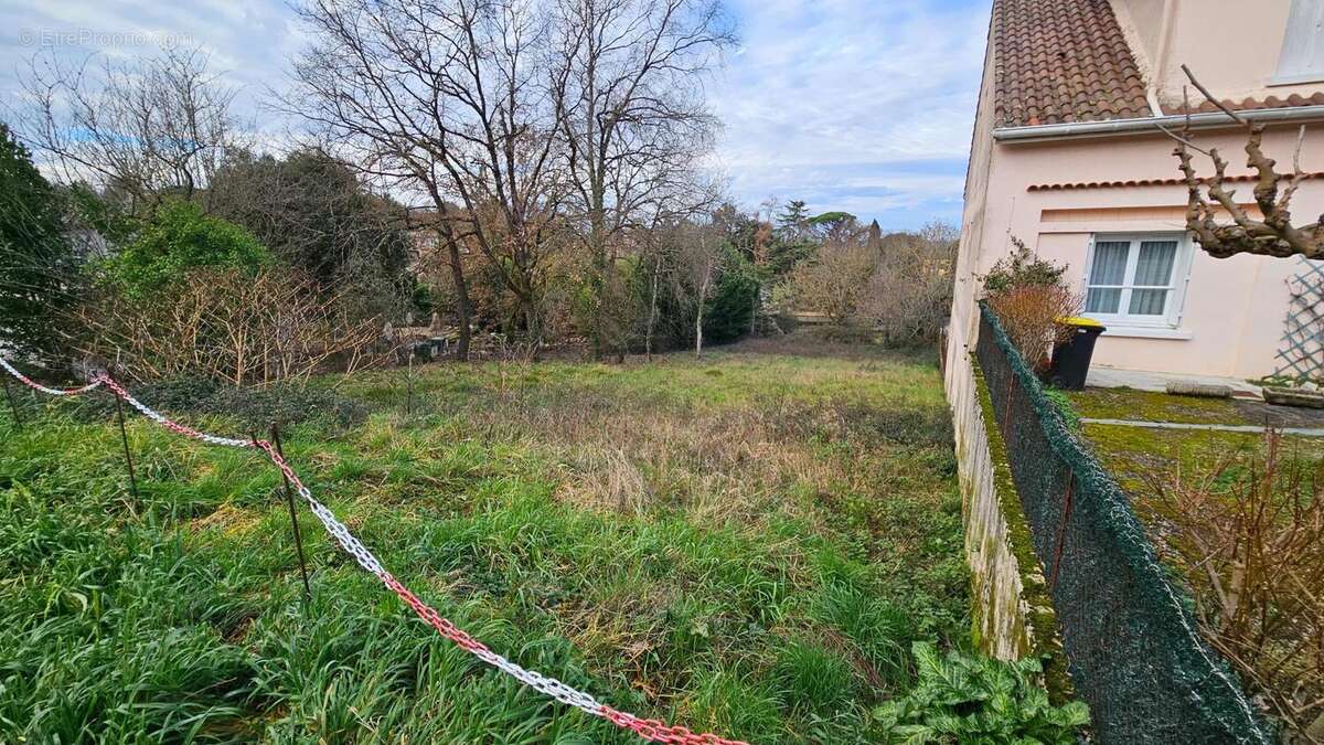 Photo 3 - Terrain à AUVILLAR