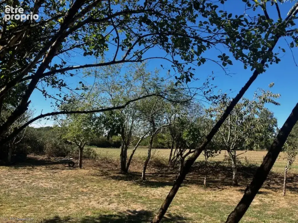 Authentique Propriété de Caractère Sur Plus de 2 Hectares de Terrain - photo 77