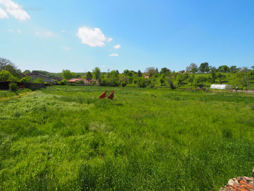 Terrain à BOUXURULLES