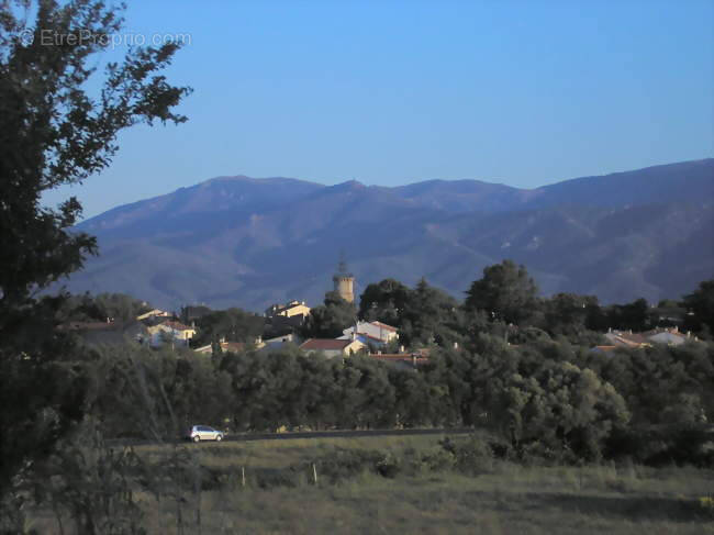 Terrain à LATOUR-BAS-ELNE